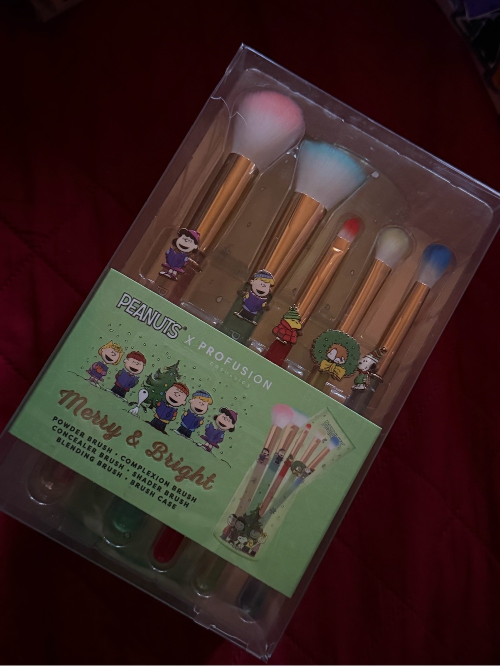 Packaging of cosmetic brush set